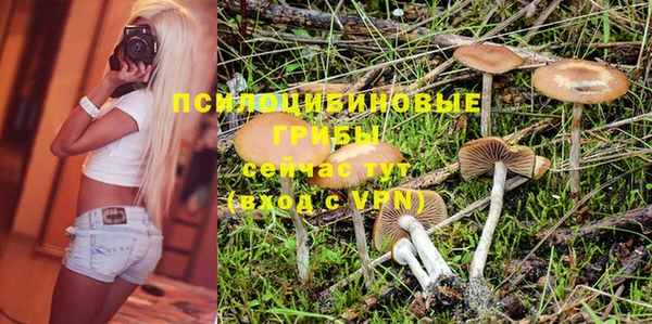 Альфа ПВП Балахна