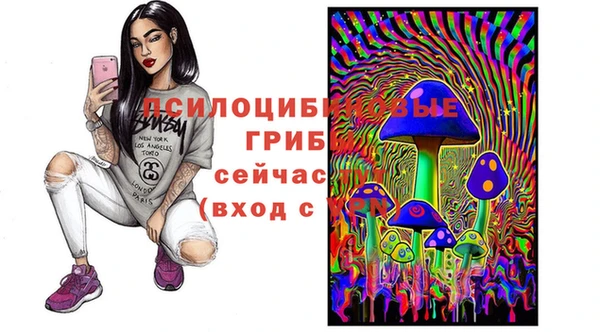 Альфа ПВП Балахна
